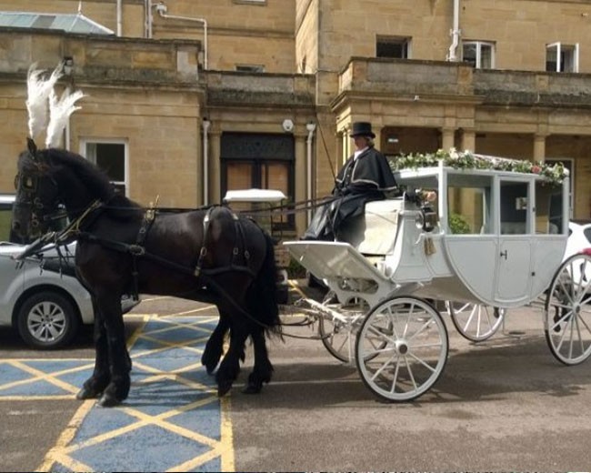 Novelty Vehicle Hire image 23