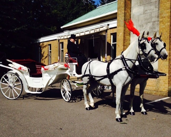 Novelty Vehicle Hire image 23