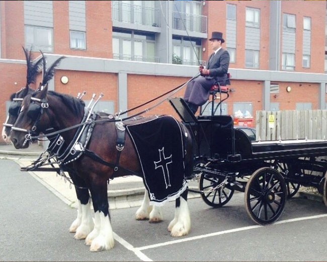 Novelty Vehicle Hire image 23