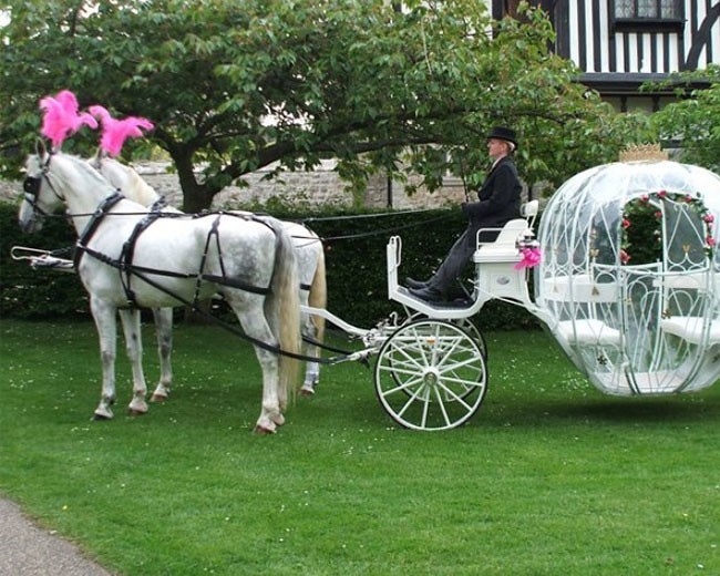 Novelty Vehicle Hire image 23