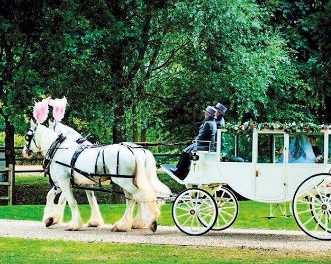 Novelty Vehicle Hire image 23