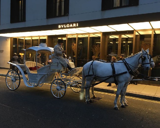 Novelty Vehicle Hire image 23