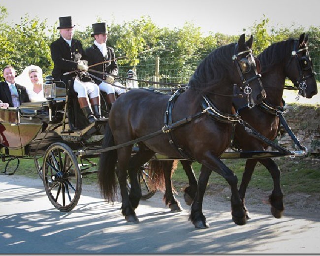 Novelty Vehicle Hire image 23