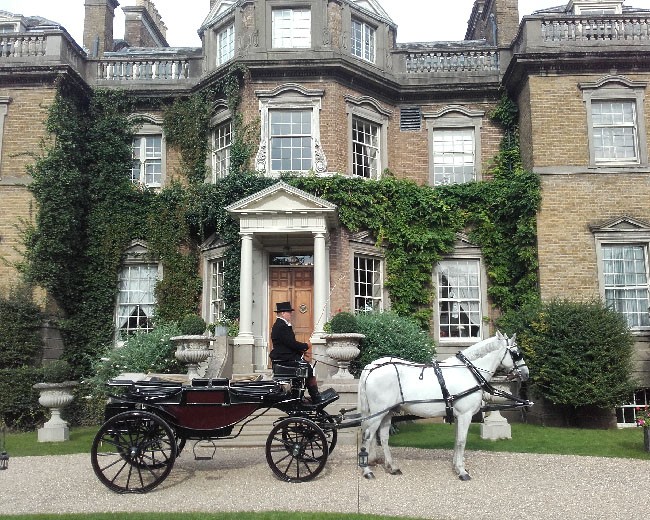 Novelty Vehicle Hire image 23