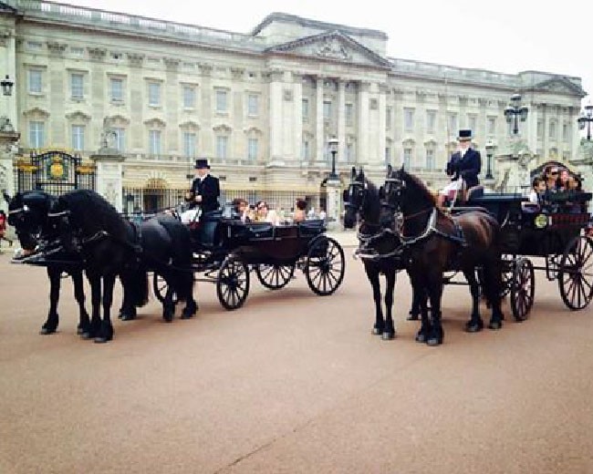 Novelty Vehicle Hire image 23